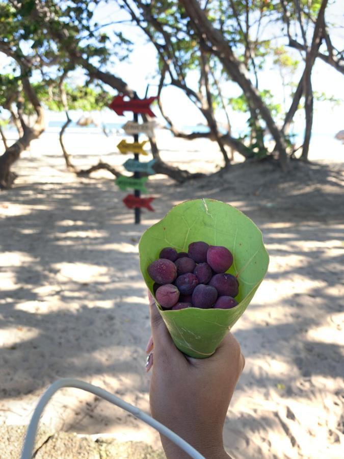 Appartamento Mar Azul 401 San Felipe de San Felipe de Puerto Plata Esterno foto
